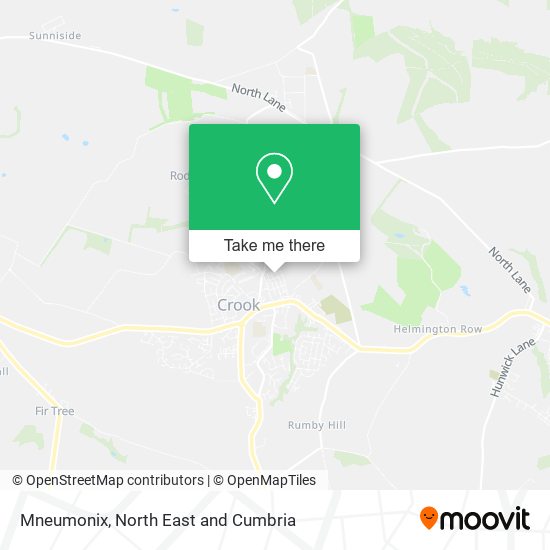 Mneumonix map