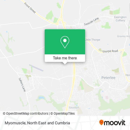 Myomuscle map