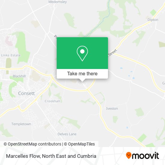 Marcelles Flow map