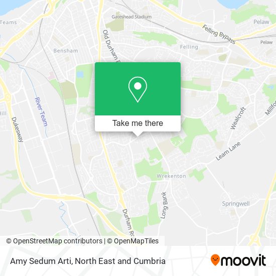 Amy Sedum Arti map