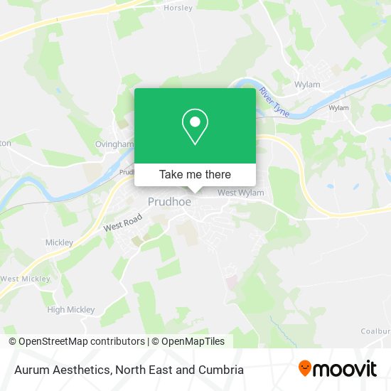 Aurum Aesthetics map