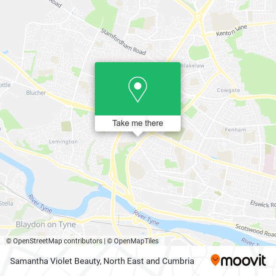 Samantha Violet Beauty map