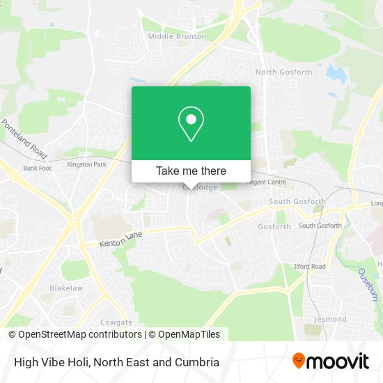 High Vibe Holi map