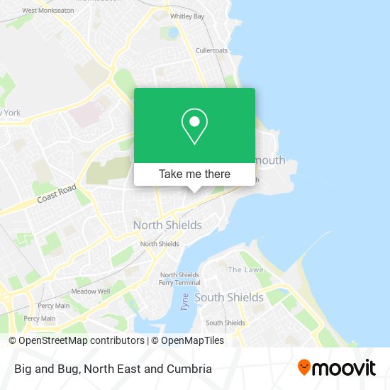 Big and Bug map