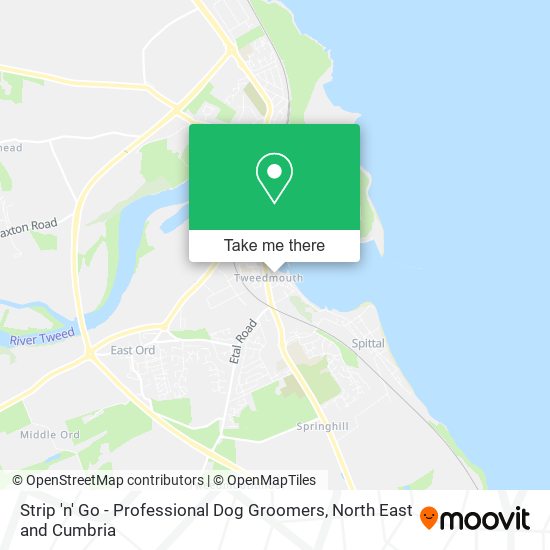 Strip 'n' Go - Professional Dog Groomers map