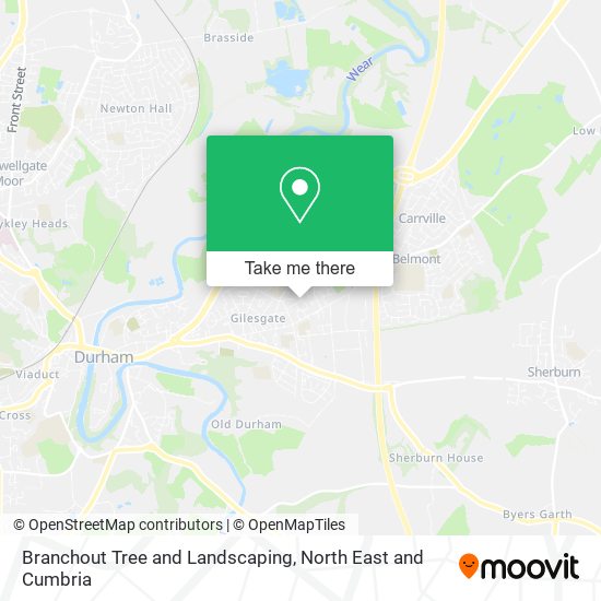 Branchout Tree and Landscaping map