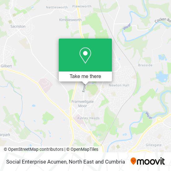 Social Enterprise Acumen map
