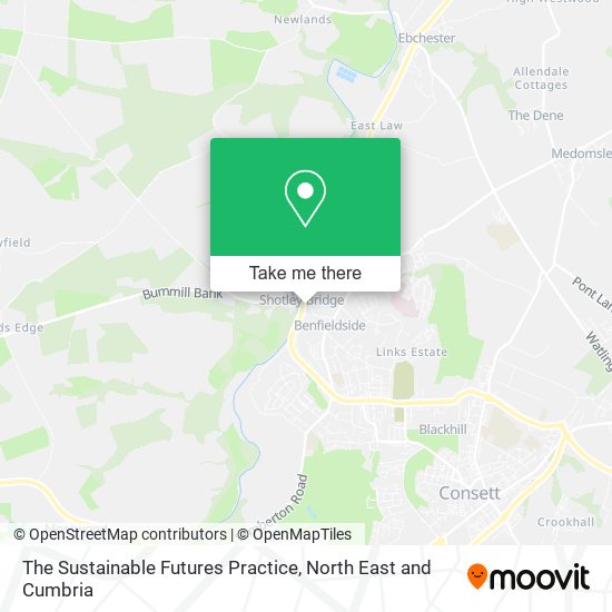 The Sustainable Futures Practice map