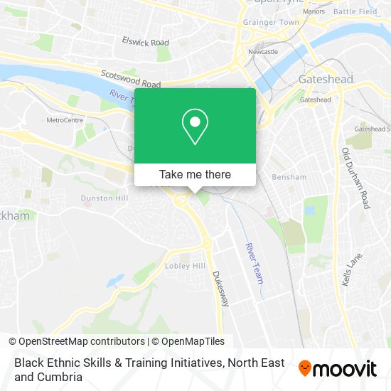 Black Ethnic Skills & Training Initiatives map