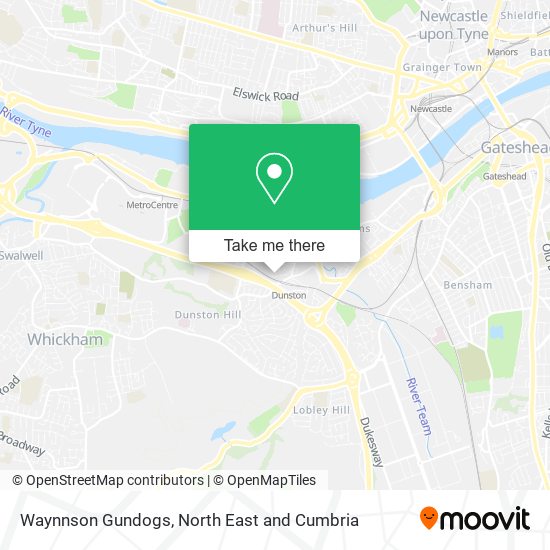 Waynnson Gundogs map