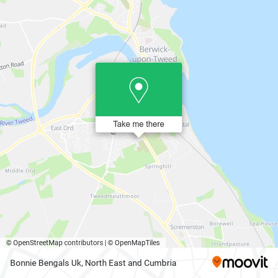 Bonnie Bengals Uk map