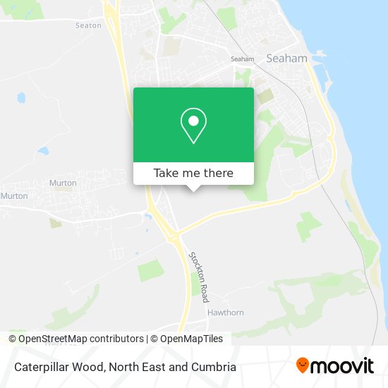 Caterpillar Wood map