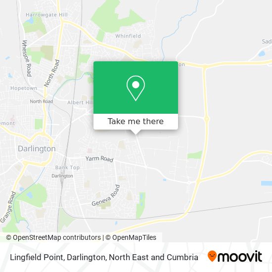 Lingfield Point, Darlington map