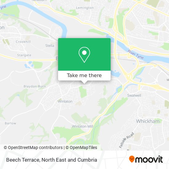 Beech Terrace map