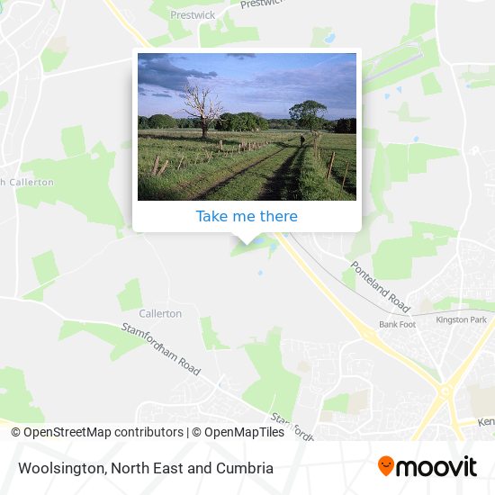 Woolsington map