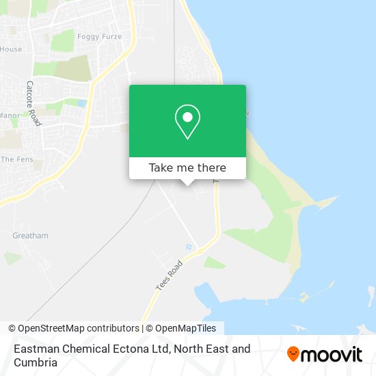 Eastman Chemical Ectona Ltd map