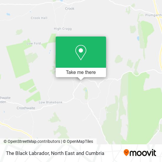 The Black Labrador map