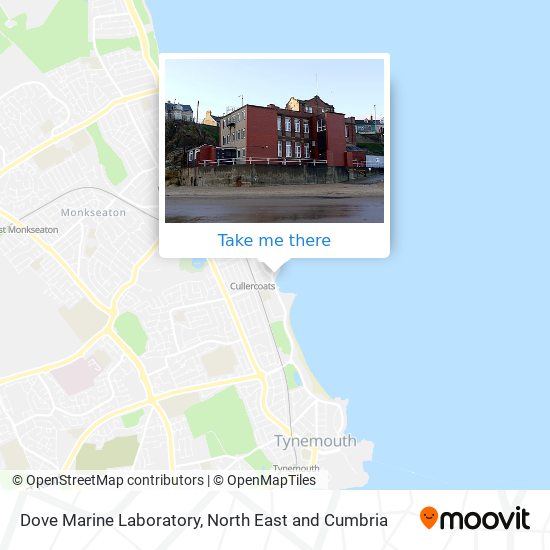 Dove Marine Laboratory map