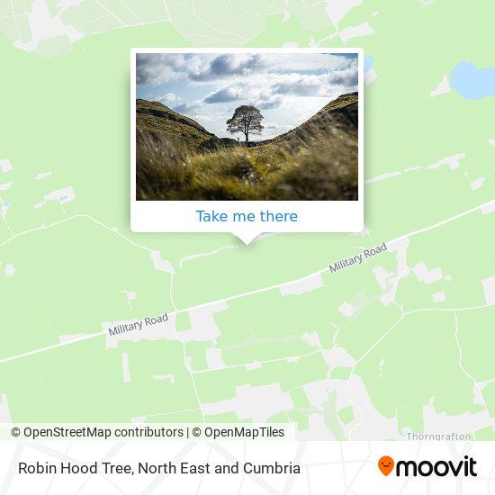 Robin Hood Tree map
