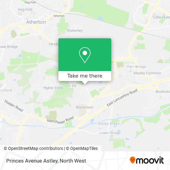 Princes Avenue Astley map