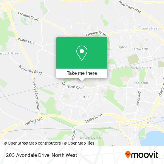 203 Avondale Drive map