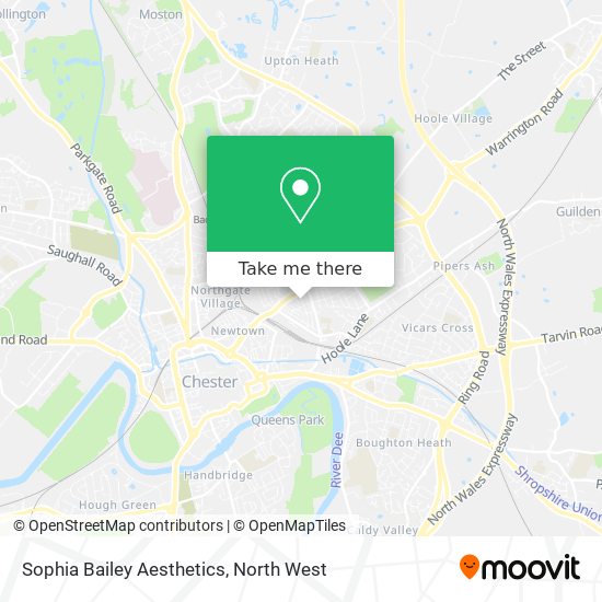 Sophia Bailey Aesthetics map