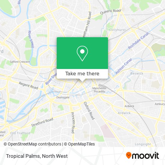 Tropical Palms map