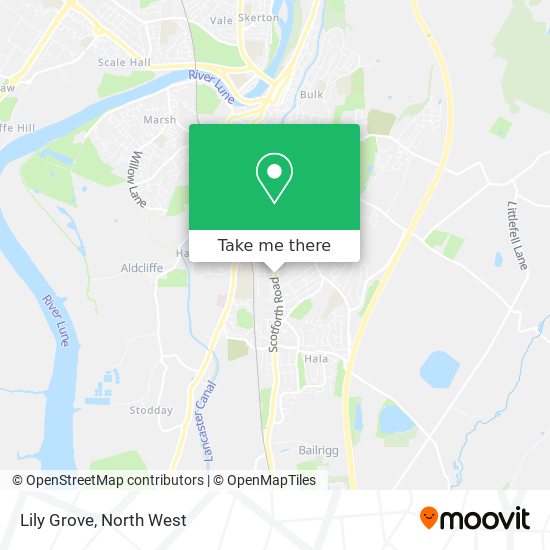Lily Grove map