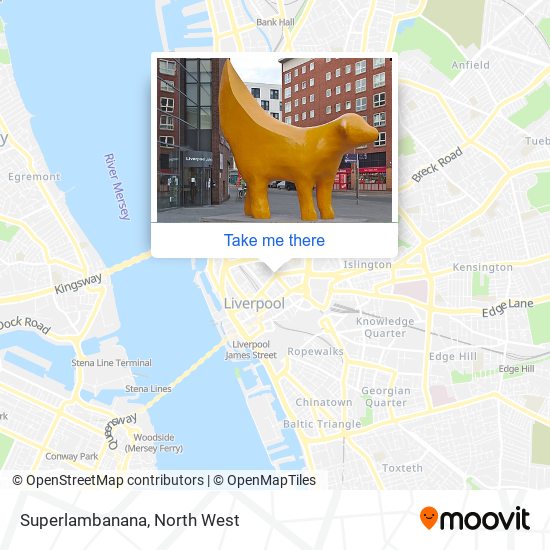 Superlambanana map