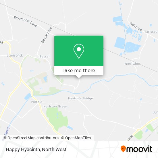 Happy Hyacinth map