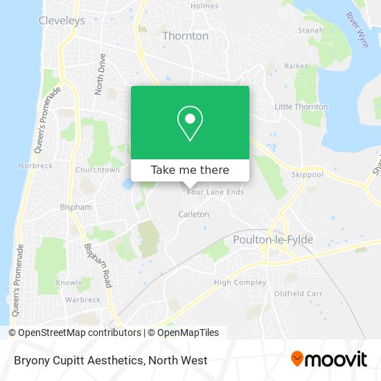Bryony Cupitt Aesthetics map