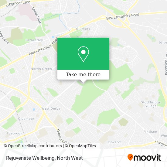 Rejuvenate Wellbeing map