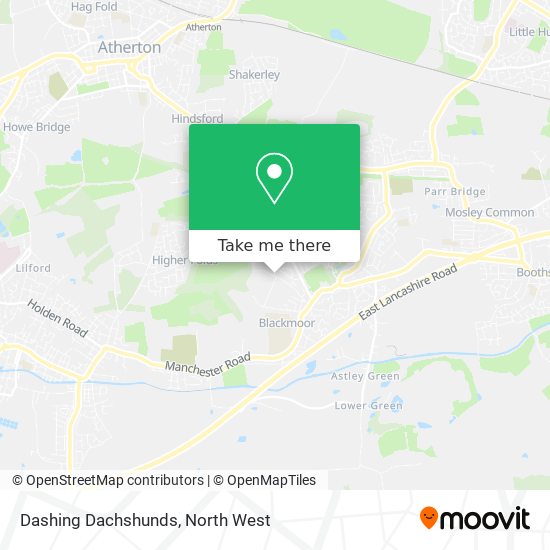 Dashing Dachshunds map