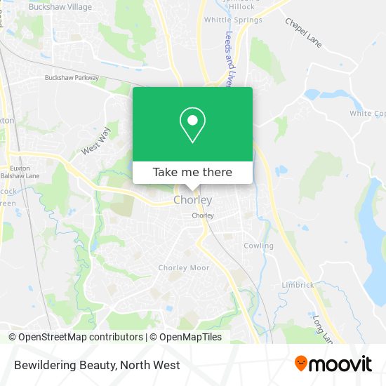 Bewildering Beauty map