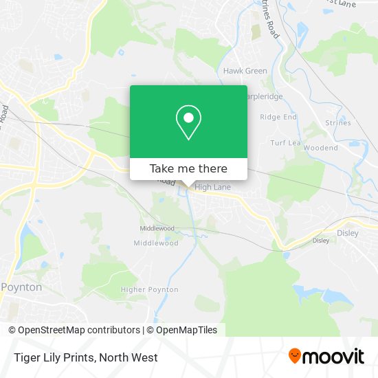 Tiger Lily Prints map
