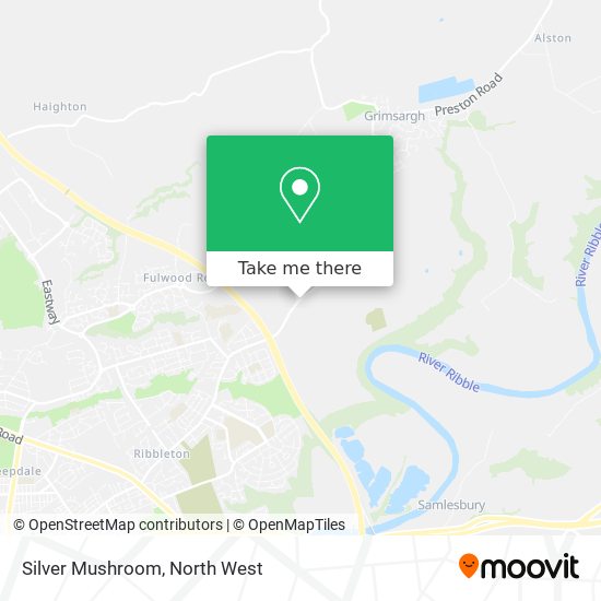 Silver Mushroom map