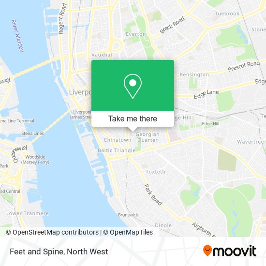 Feet and Spine map