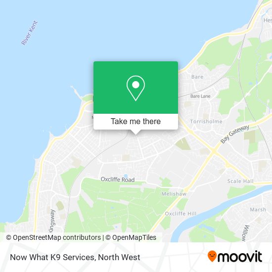 Now What K9 Services map