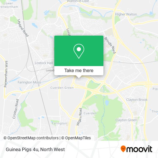 Guinea Pigs 4u map