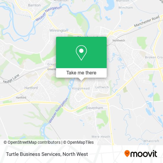 Turtle Business Services map