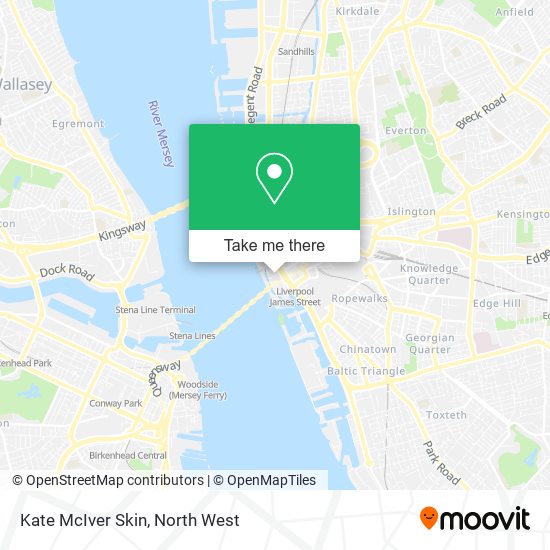 Kate McIver Skin map