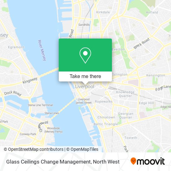 Glass Ceilings Change Management map
