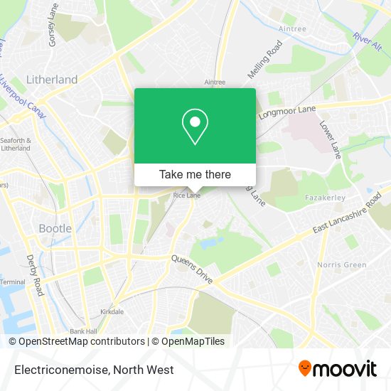 Electriconemoise map