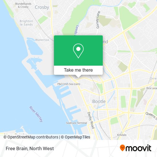Free Brain map