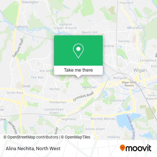 Alina Nechita map