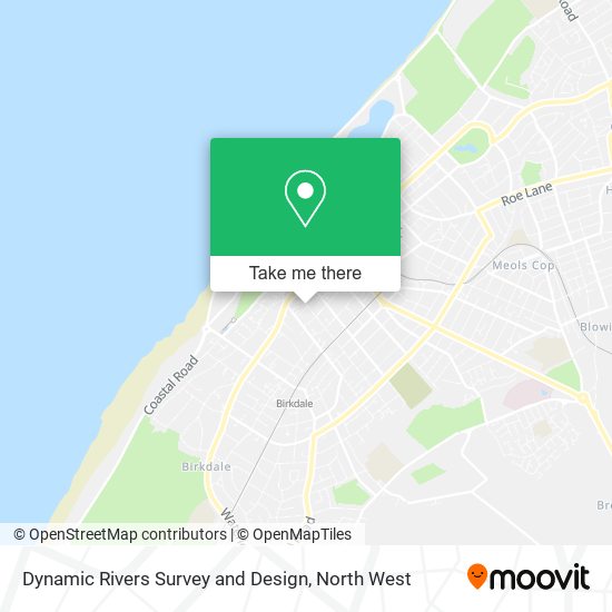 Dynamic Rivers Survey and Design map