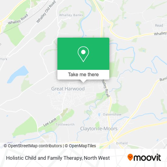 Holistic Child and Family Therapy map