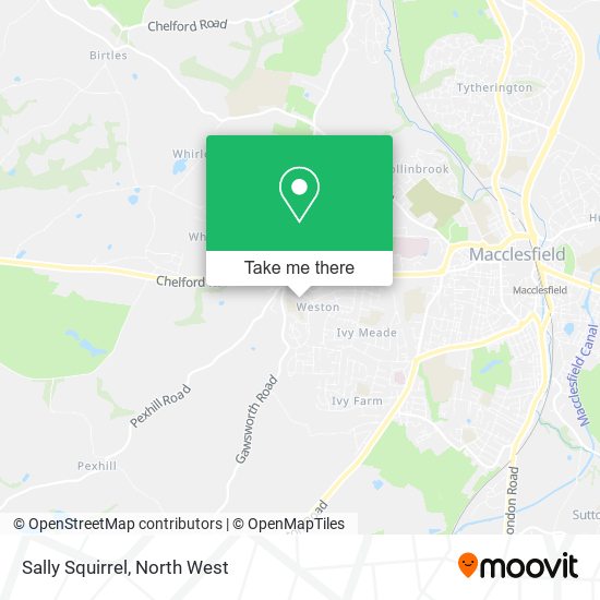 Sally Squirrel map