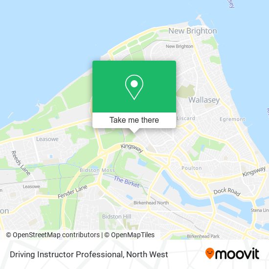 Driving Instructor Professional map