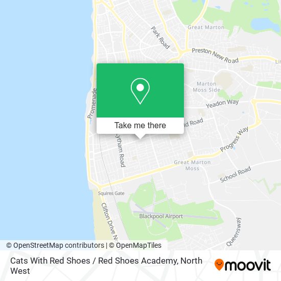 Cats With Red Shoes / Red Shoes Academy map